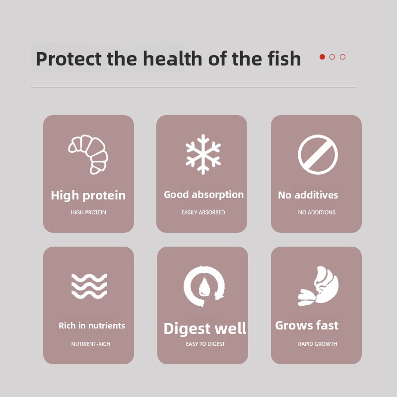 PENISON Toz Bebek Balık Yemi,  - Baby Food High In Protein incelemesi ve fiyatı