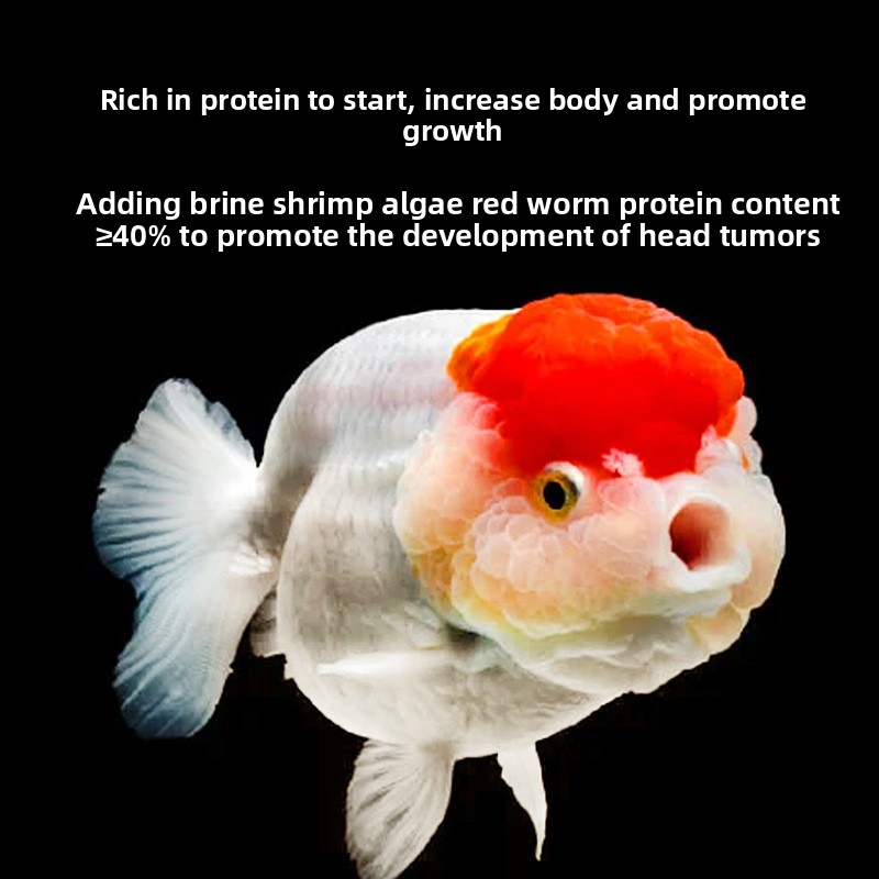 Ranchu ve Lionhead için Balık  - Baby Food High In Protein incelemesi ve fiyatı