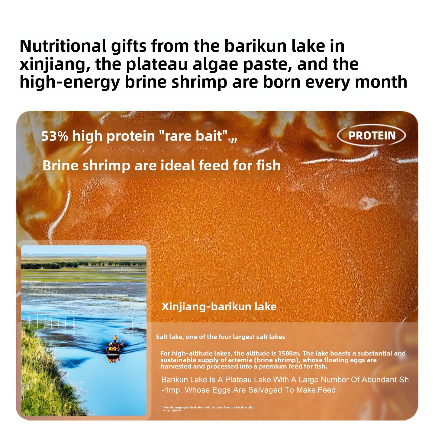 SANKii Dekapsüle Artemia, Çıkı - Baby Food High In Protein incelemesi ve fiyatı