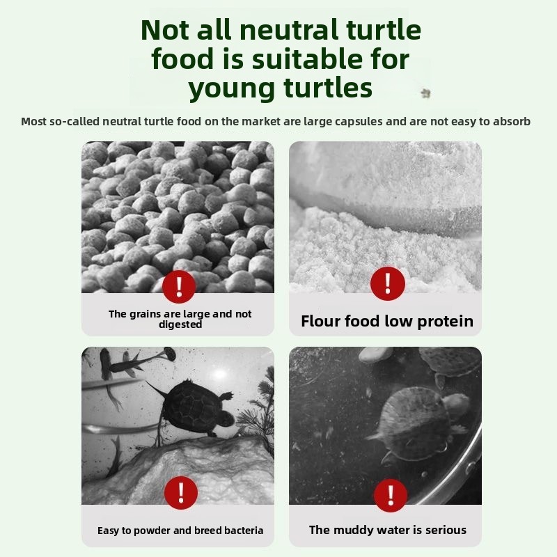 Nai chong Hatchling Turtle Foo - Baby Food High In Protein incelemesi ve fiyatı