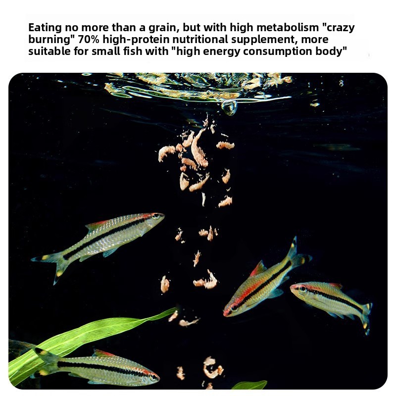 Yee Krill & Bebek Karides Kuru - Baby Food High In Protein incelemesi ve fiyatı
